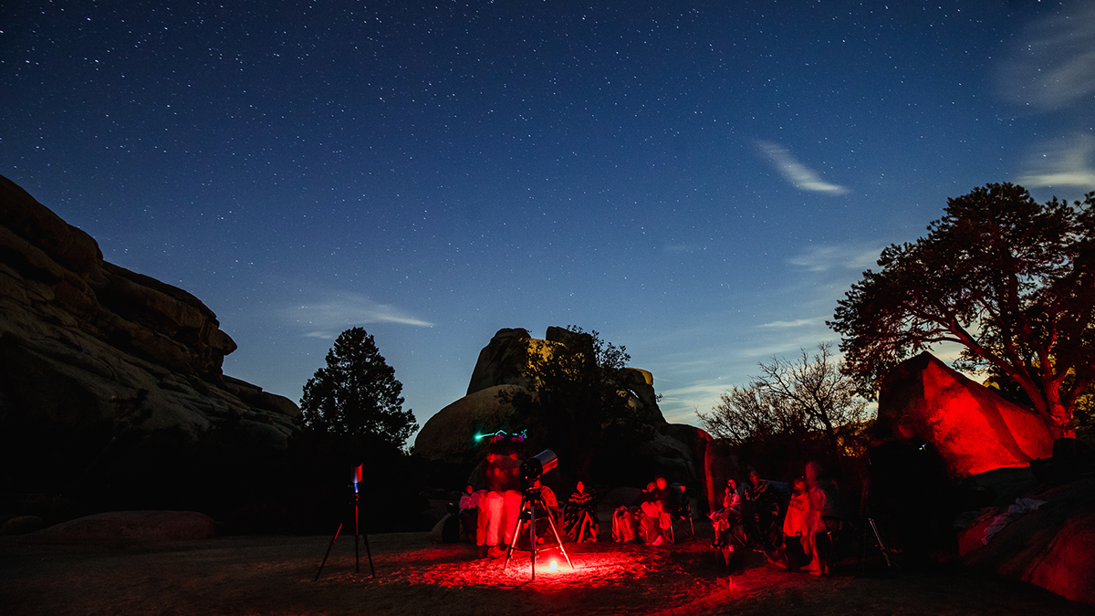 Tiller team stargazing in Joshua Tree National Park